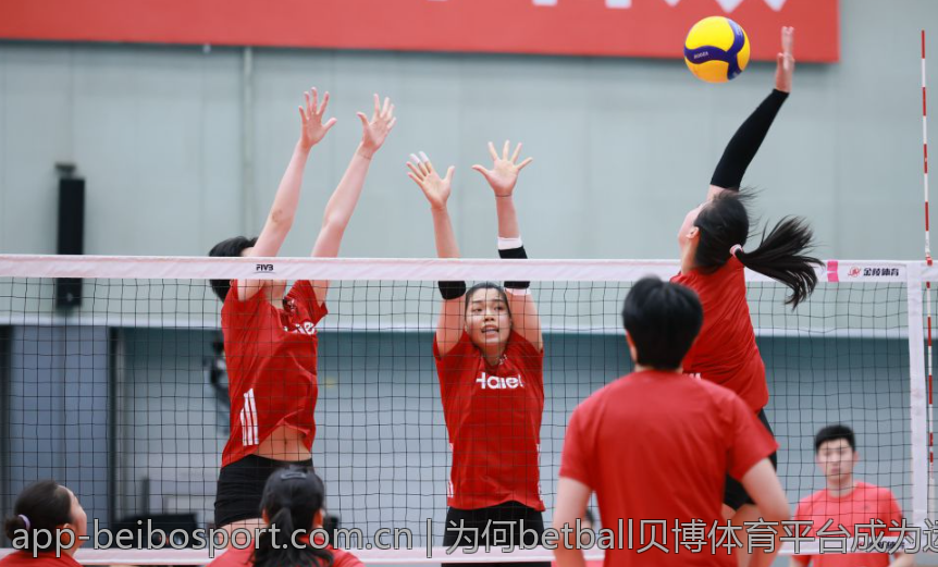 为何betball贝博体育平台成为运动爱好者的首选
