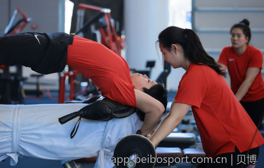 新手必看：贝博bb平台体育app使用指南