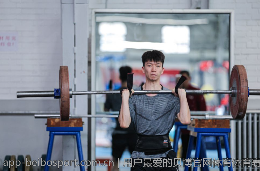 用户最爱的贝博官网体育体育赛事类型