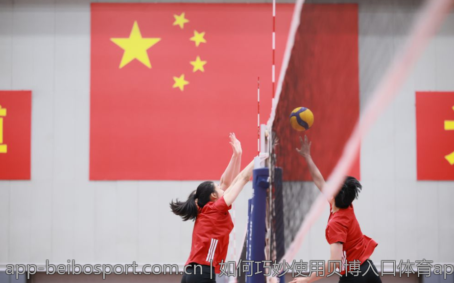 如何巧妙使用贝博入口体育app进行赛事分析