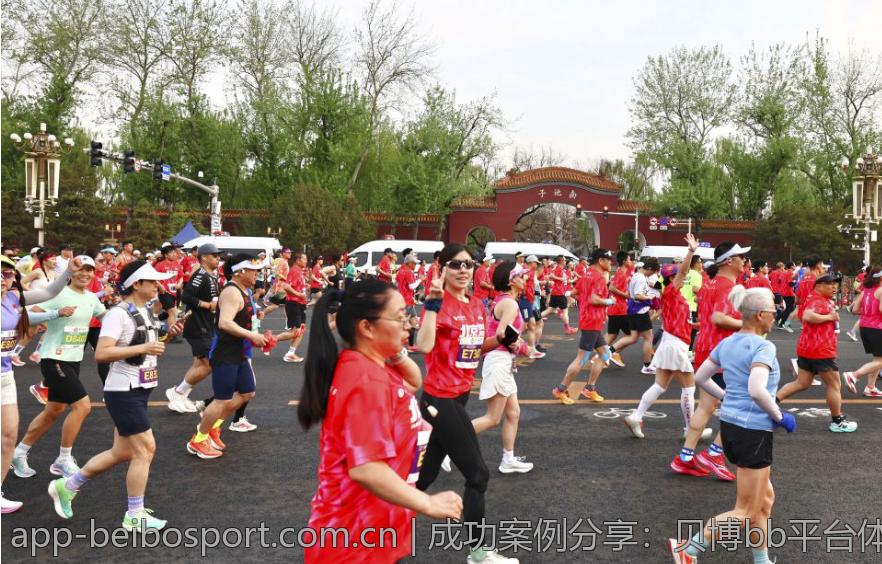 成功案例分享：贝博bb平台体育下载的实践